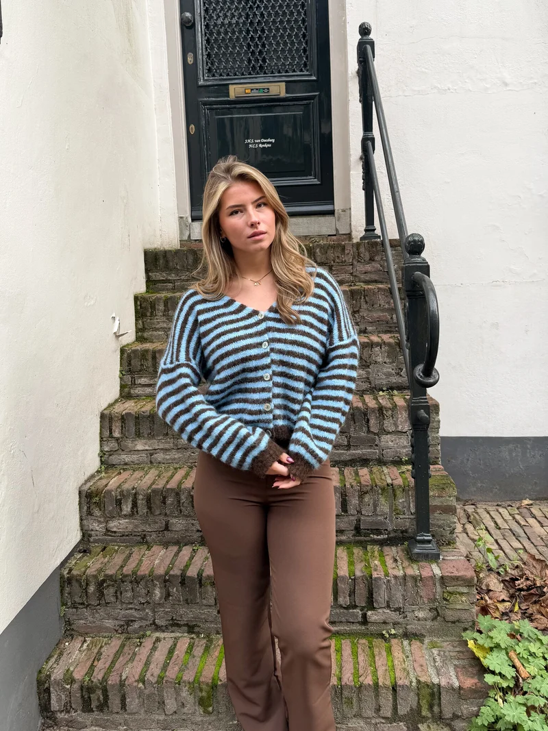 Vest Sophie blauw
