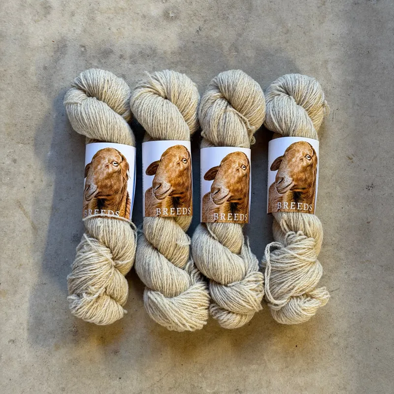 Wool Dreamers Breeds - Roja Mallorquina