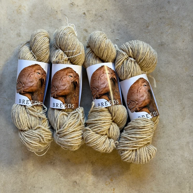 Wool Dreamers Breeds - Guirra