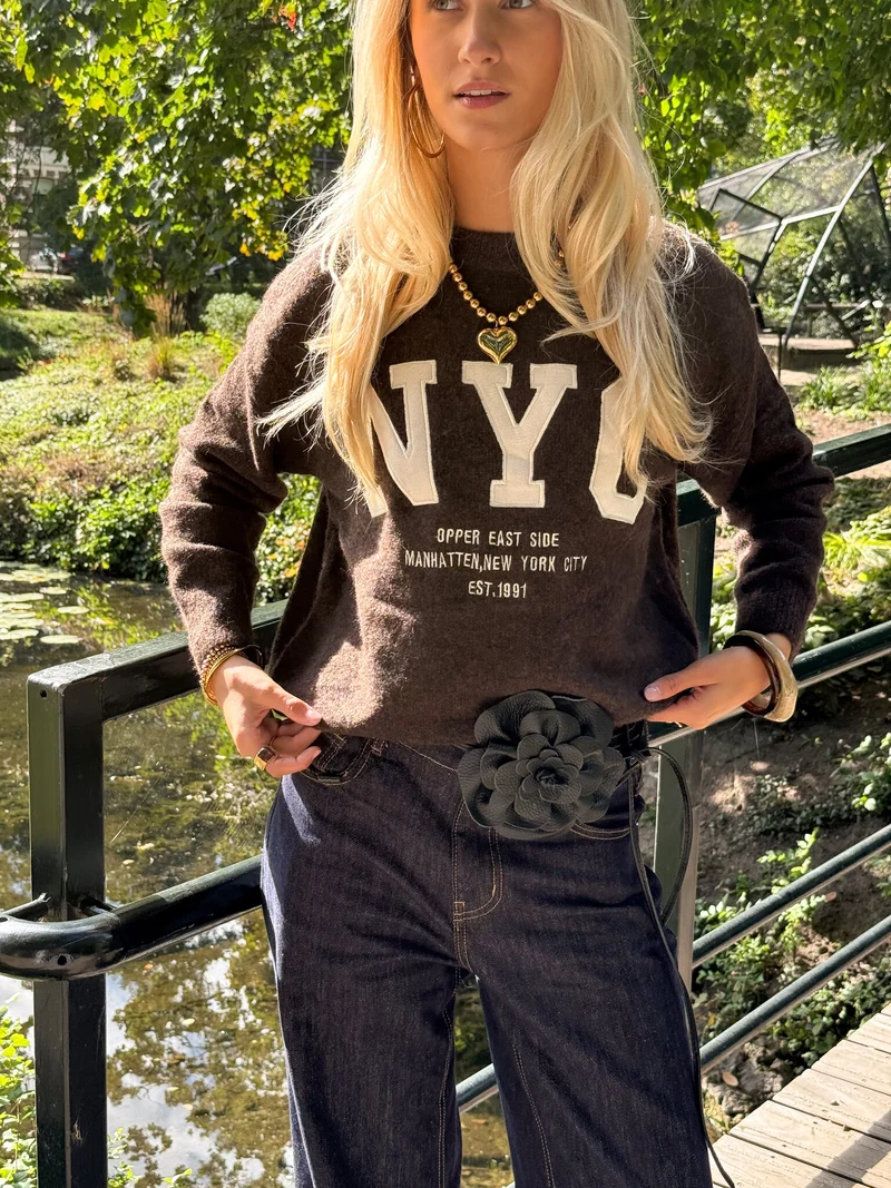 Trui NYC bruin