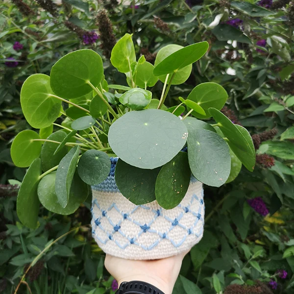 Haakpatroon Plantje in een Mandje