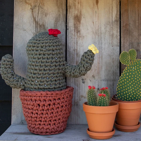 Haakpatroon Zpagetti XL Cactus (Digital)