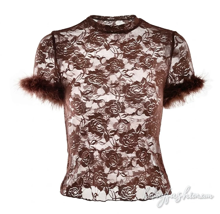 Crewneck short sleeve fluffy lace see through top